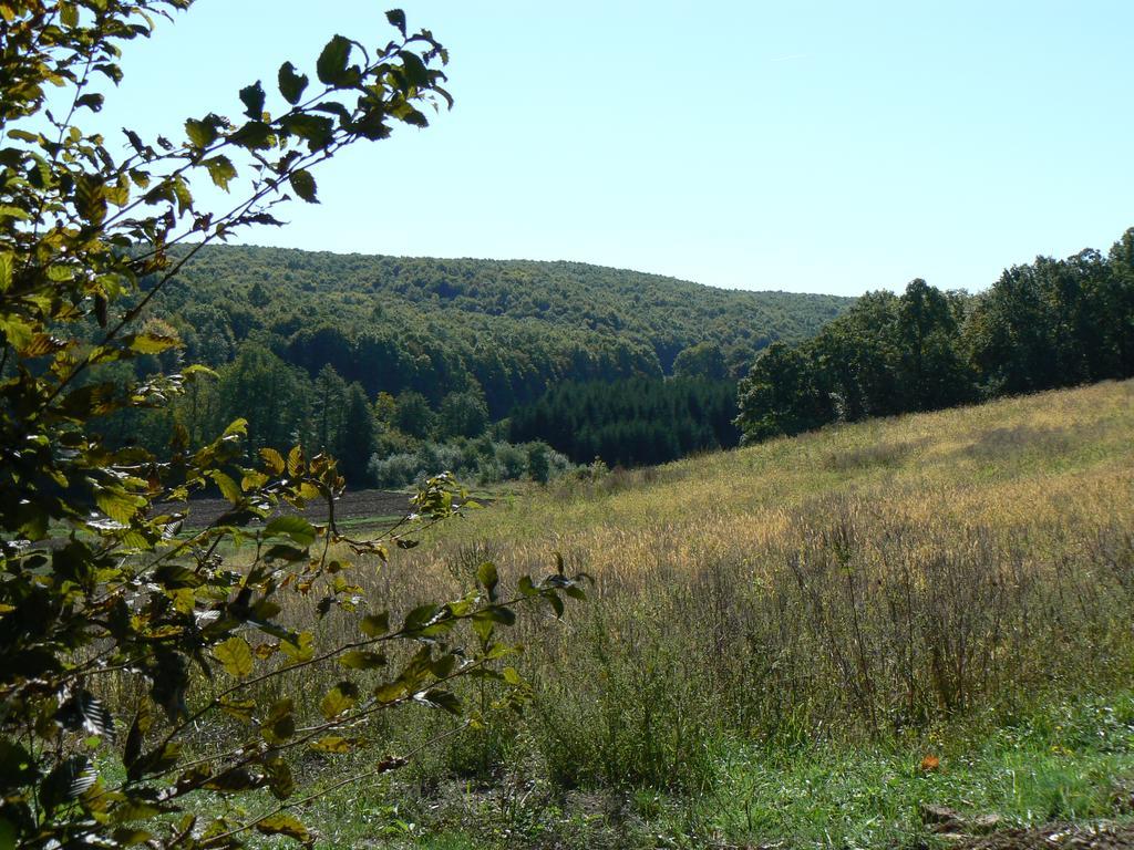 Country House Stoljetna Vila Seona Екстериор снимка