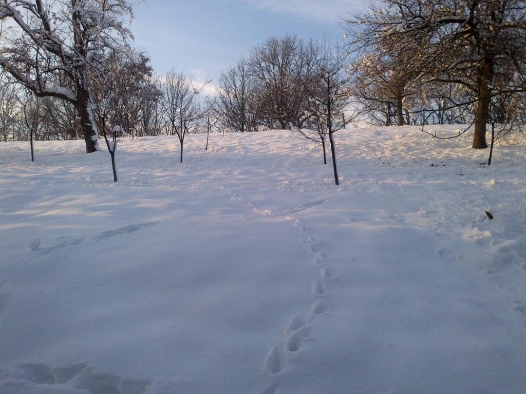 Country House Stoljetna Vila Seona Екстериор снимка