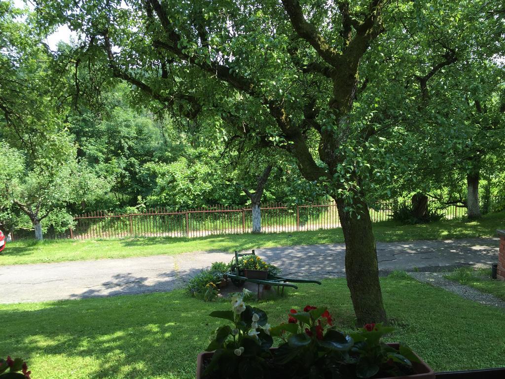 Country House Stoljetna Vila Seona Екстериор снимка