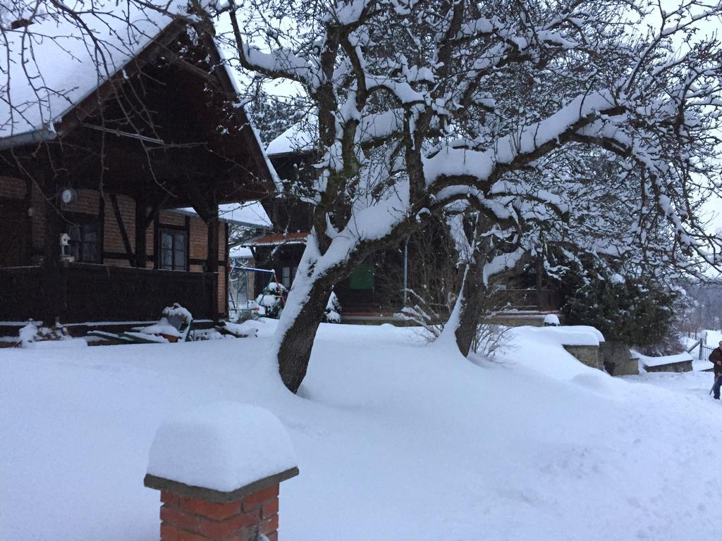 Country House Stoljetna Vila Seona Екстериор снимка