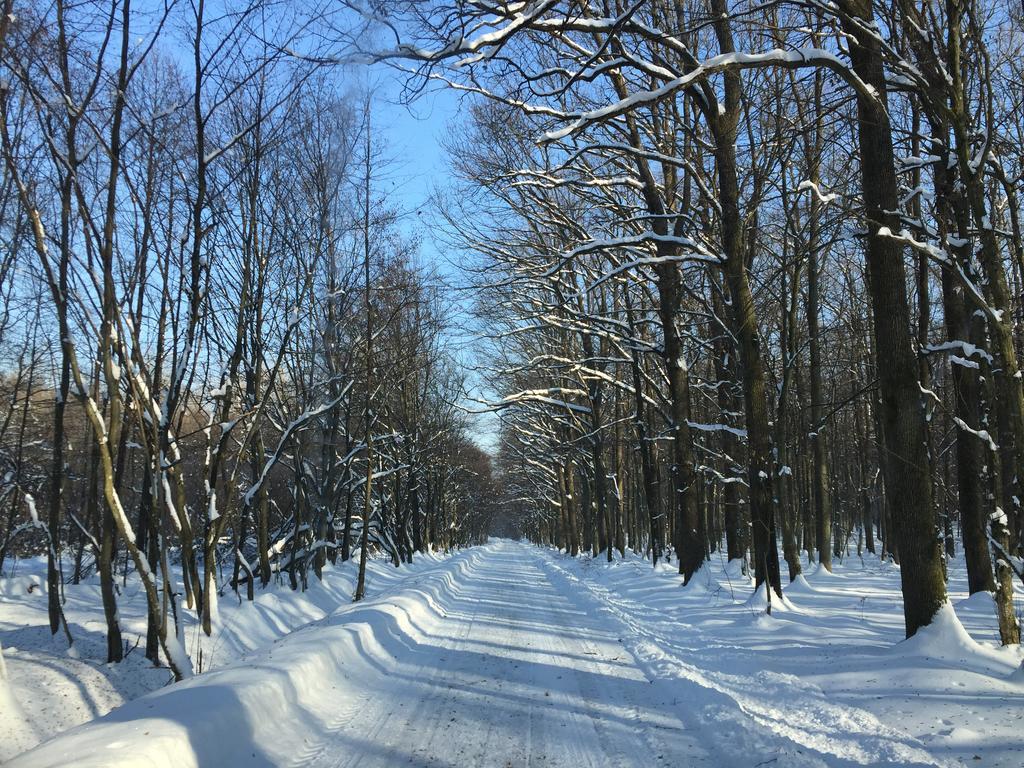 Country House Stoljetna Vila Seona Екстериор снимка