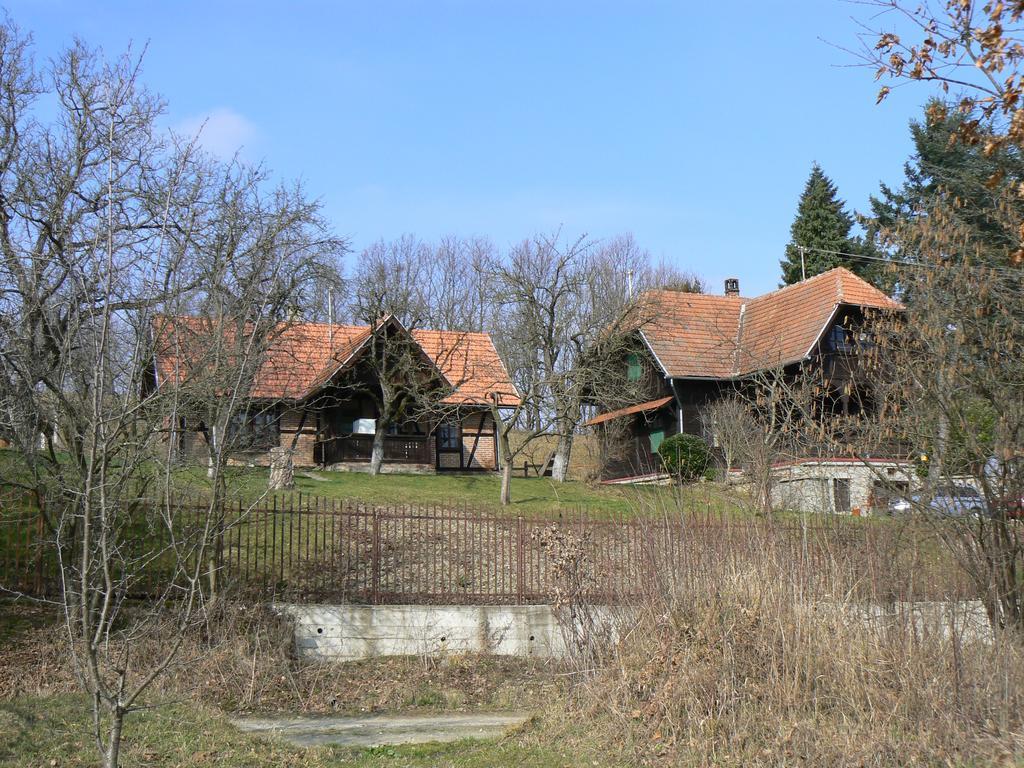 Country House Stoljetna Vila Seona Екстериор снимка